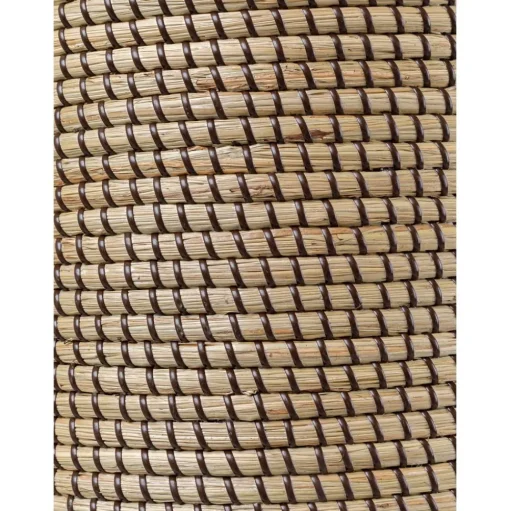Lampara De Techo De Jacintos De Agua Palma