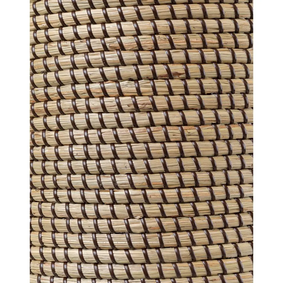 Lampara De Techo De Jacintos De Agua Palma