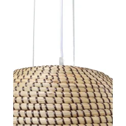 Lampara De Techo De Jacintos De Agua Palma
