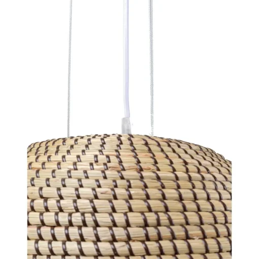 Lampara De Techo De Jacintos De Agua Palma