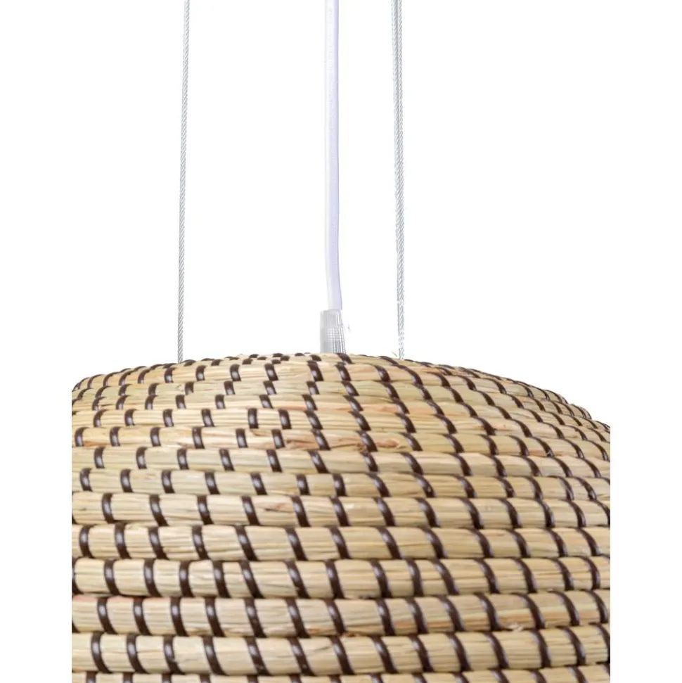 Lampara De Techo De Jacintos De Agua Palma