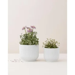 Macetero De Porcelana Lyngby, 11 Cm