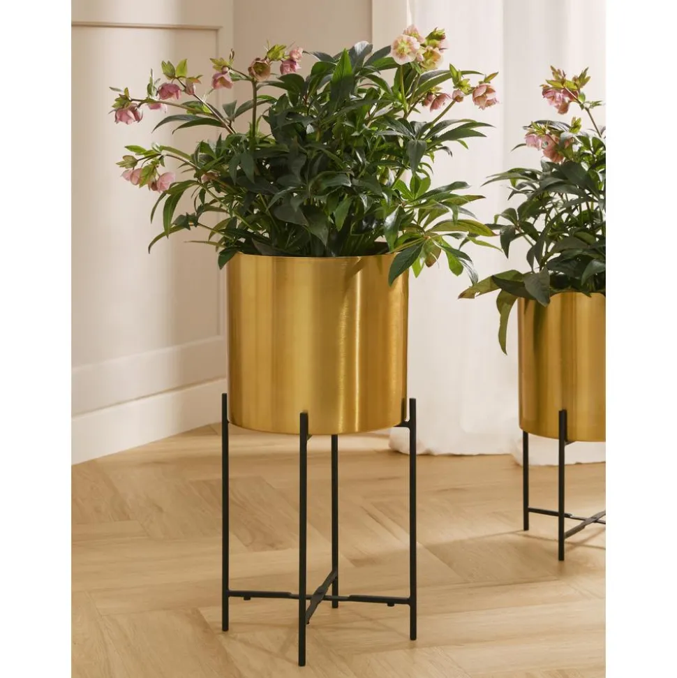 Set De Maceteros De Metal Mina, 2 Uds.