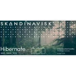 Velas Perfumadas Hibernation, 3 Uds.