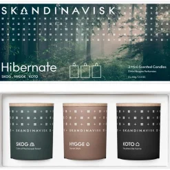 Velas Perfumadas Hibernation, 3 Uds.