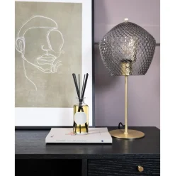 Ambientador Parks Exclusive No.1 (Melocoton Y Amyris)