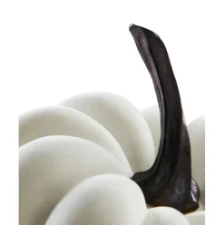 Calabaza Decorativa Pepo