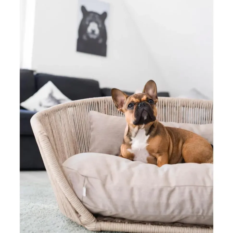 Cama Para Mascotas De Interior/Exterior Vogue