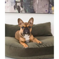 Cama Para Mascotas De Interior/Exterior Prado