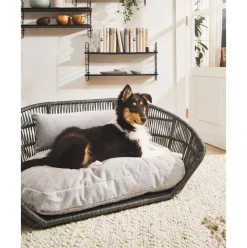 Cama Para Mascotas De Interior/Exterior Prado