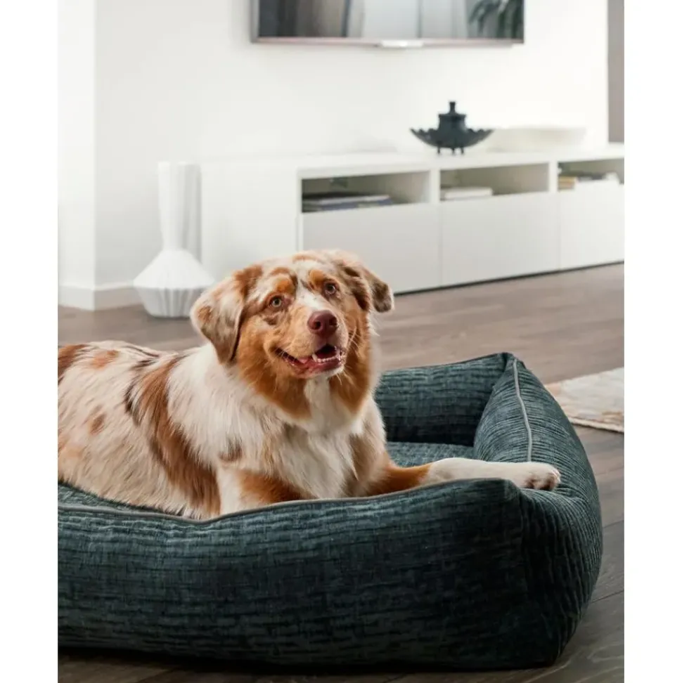 Cama Para Mascotas De Pana Nova, Tamanos Diferentes