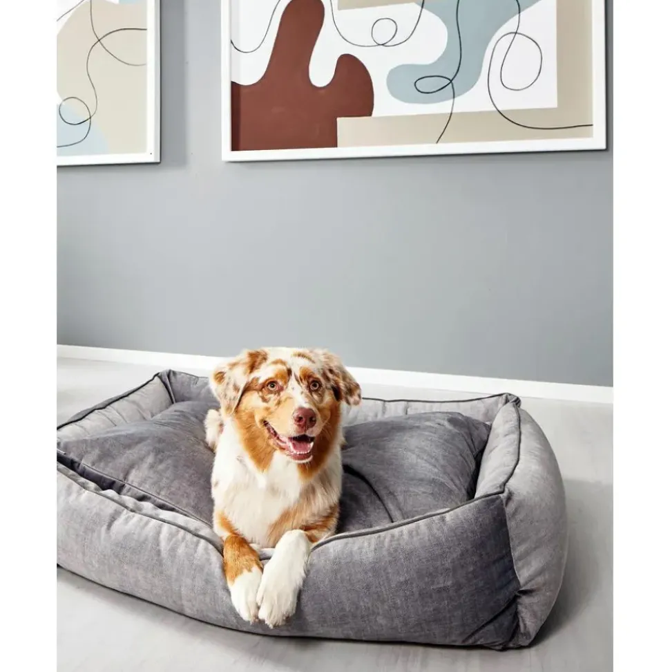 Cama Para Mascotas De Terciopelo Glam, Tamanos Diferentes