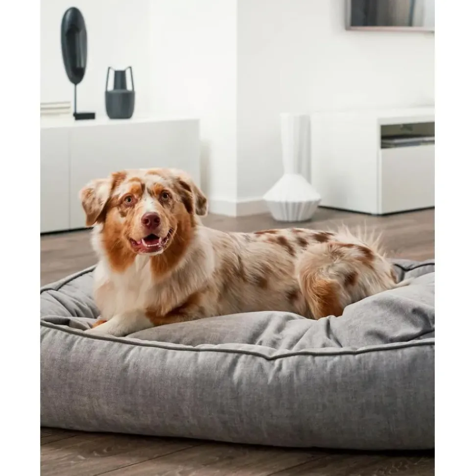 Cama Para Mascotas De Terciopelo Glam, Tamanos Diferentes