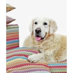 Cama Para Mascotas Zik Zak, Tamanos Diferentes