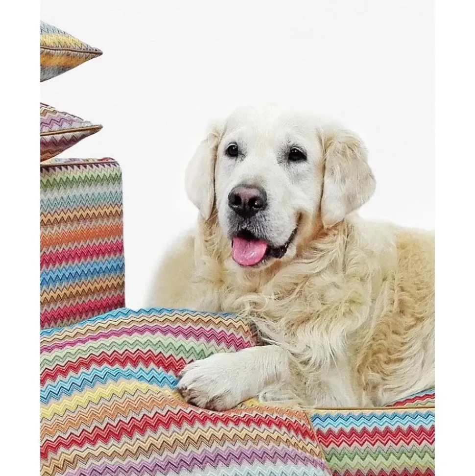 Cama Para Mascotas Zik Zak, Tamanos Diferentes