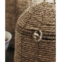 Cesta Con Tapadera De Algas Rama