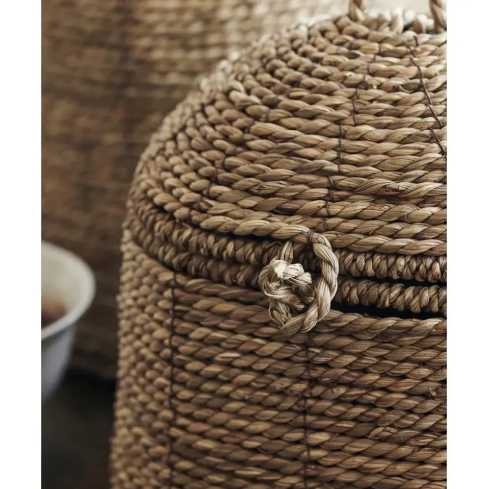 Cesta Con Tapadera De Algas Rama