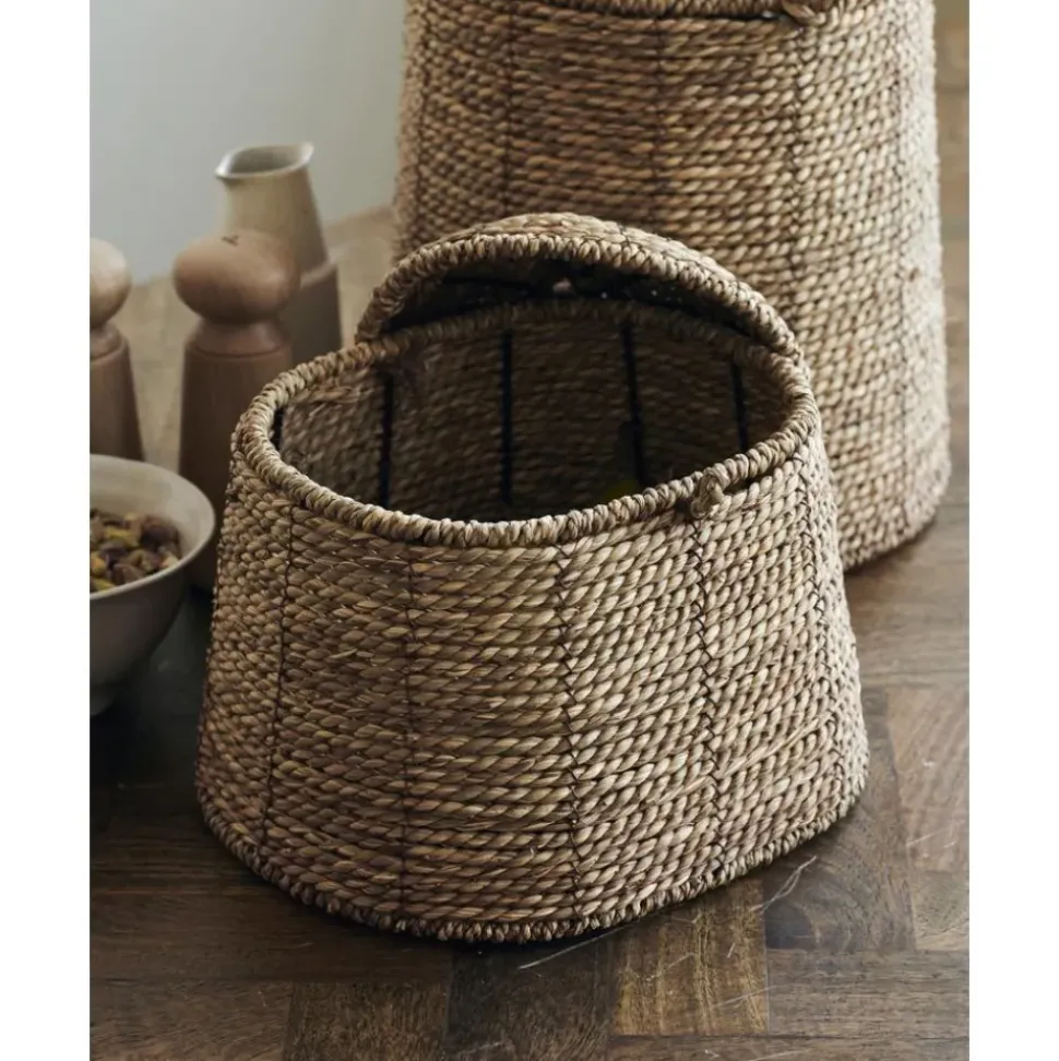 Cesta Con Tapadera De Algas Rama