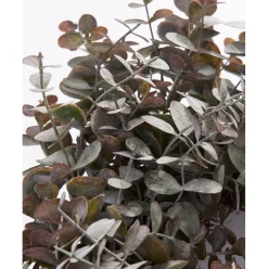 Corona Navidena De Eucalipto Artificial Eurelia