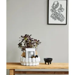 Cuenco Decorativo Grande De Ceramica Anise