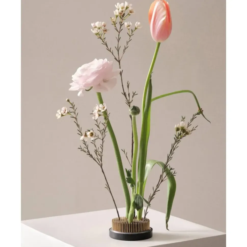 Erizo Floral Para Jarron Fiore, O 8 Cm