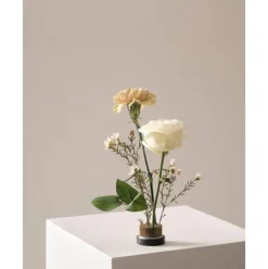 Erizo Floral Para Jarron Fiore, O 5 Cm