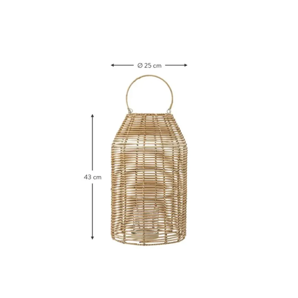 Farolillo De Ratan Ferdi