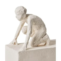 Figura Decorativa Astro: Widder