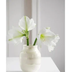 Jarron Artesanal De Ceramica Omaggio