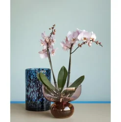 Jarron Soplado Artesanalmente De Diseno Show