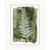 Lamina Decorativa White Fern