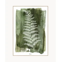 Lamina Decorativa White Fern