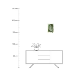 Lamina Decorativa White Fern