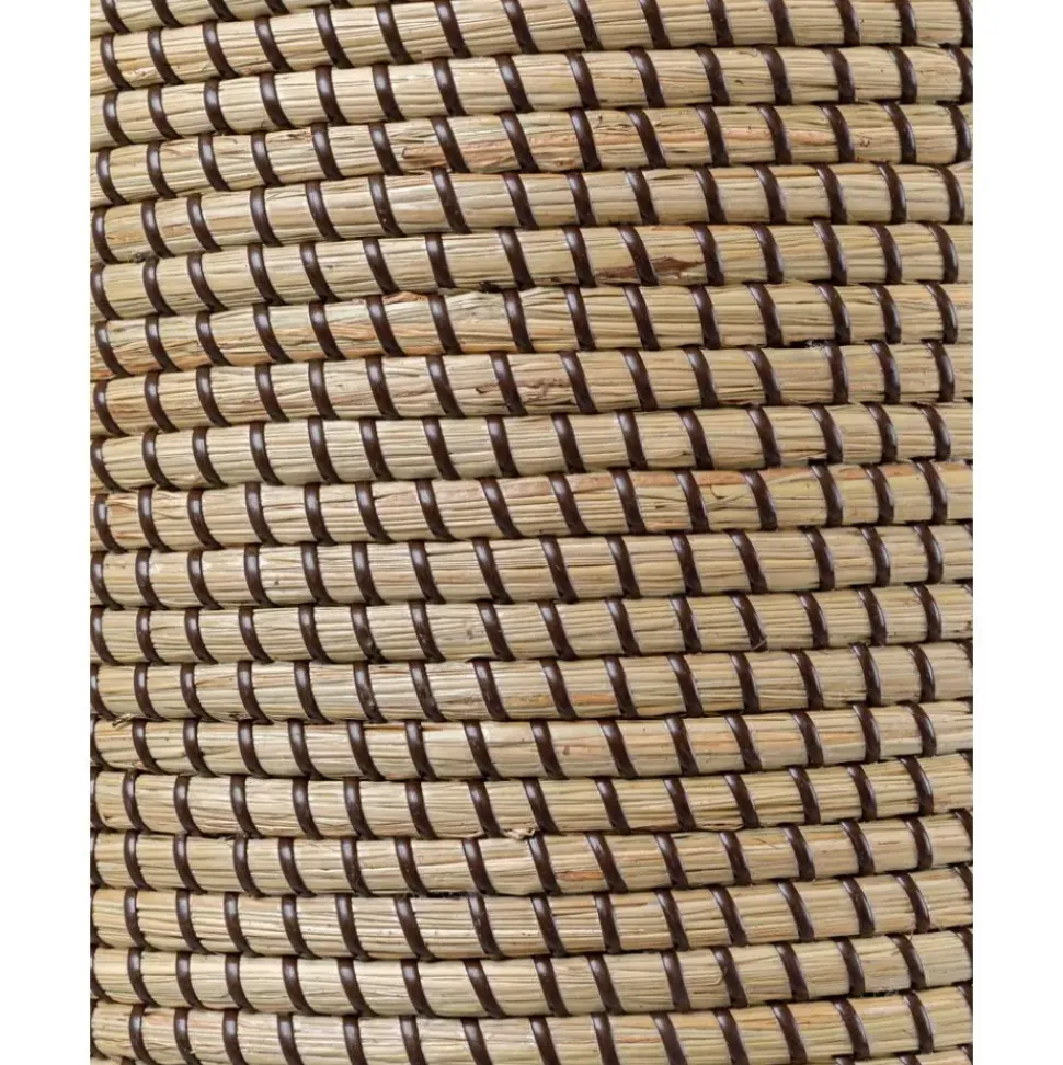 Lampara De Techo De Jacintos De Agua Palma