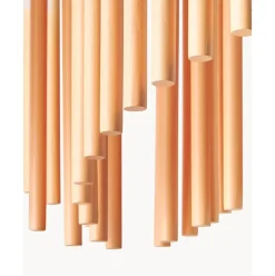 Lampara De Techo Grande De Diseno Coralie