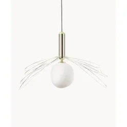 Lampara De Techo Grande Dela