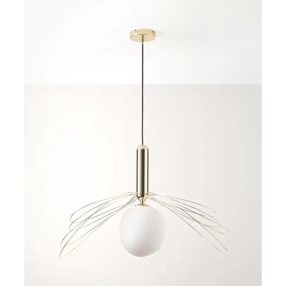 Lampara De Techo Grande Dela