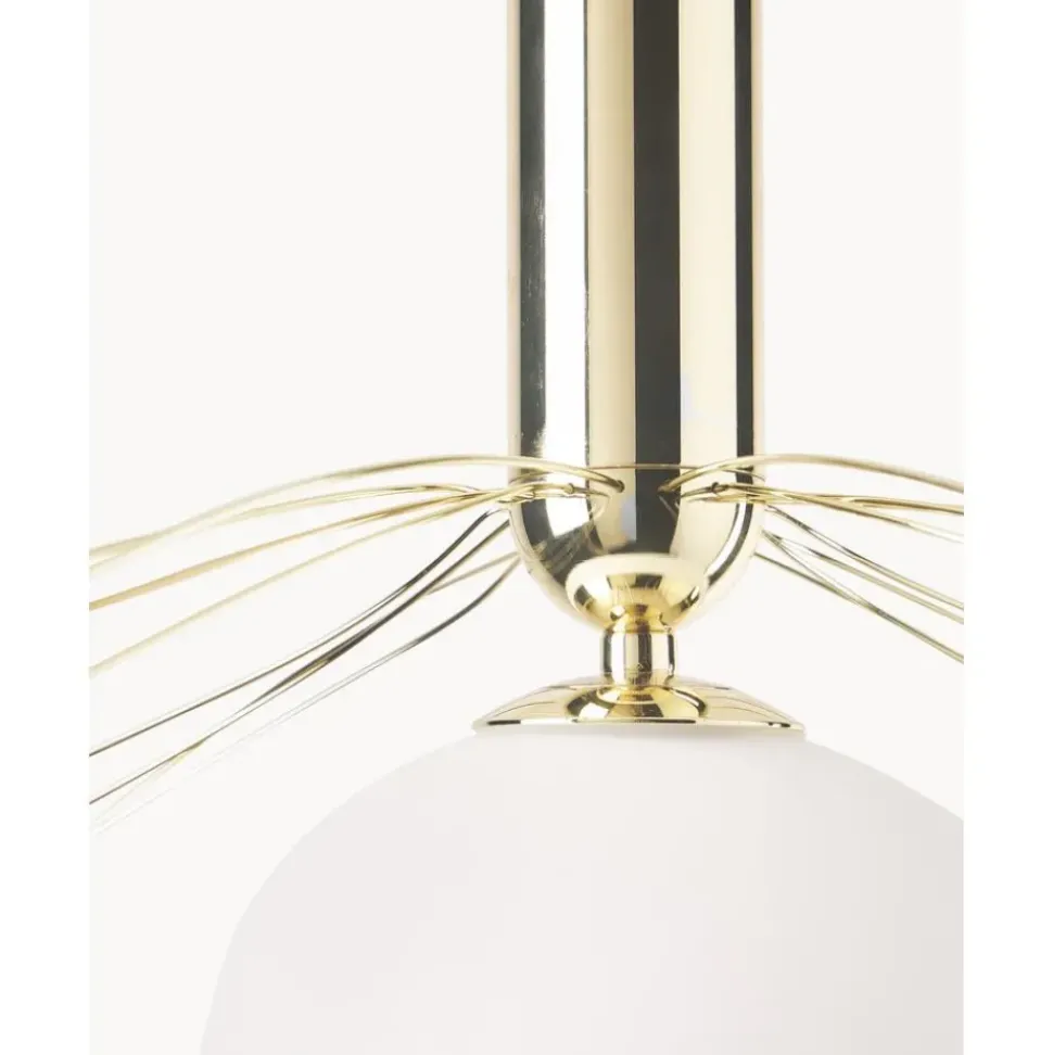 Lampara De Techo Grande Dela