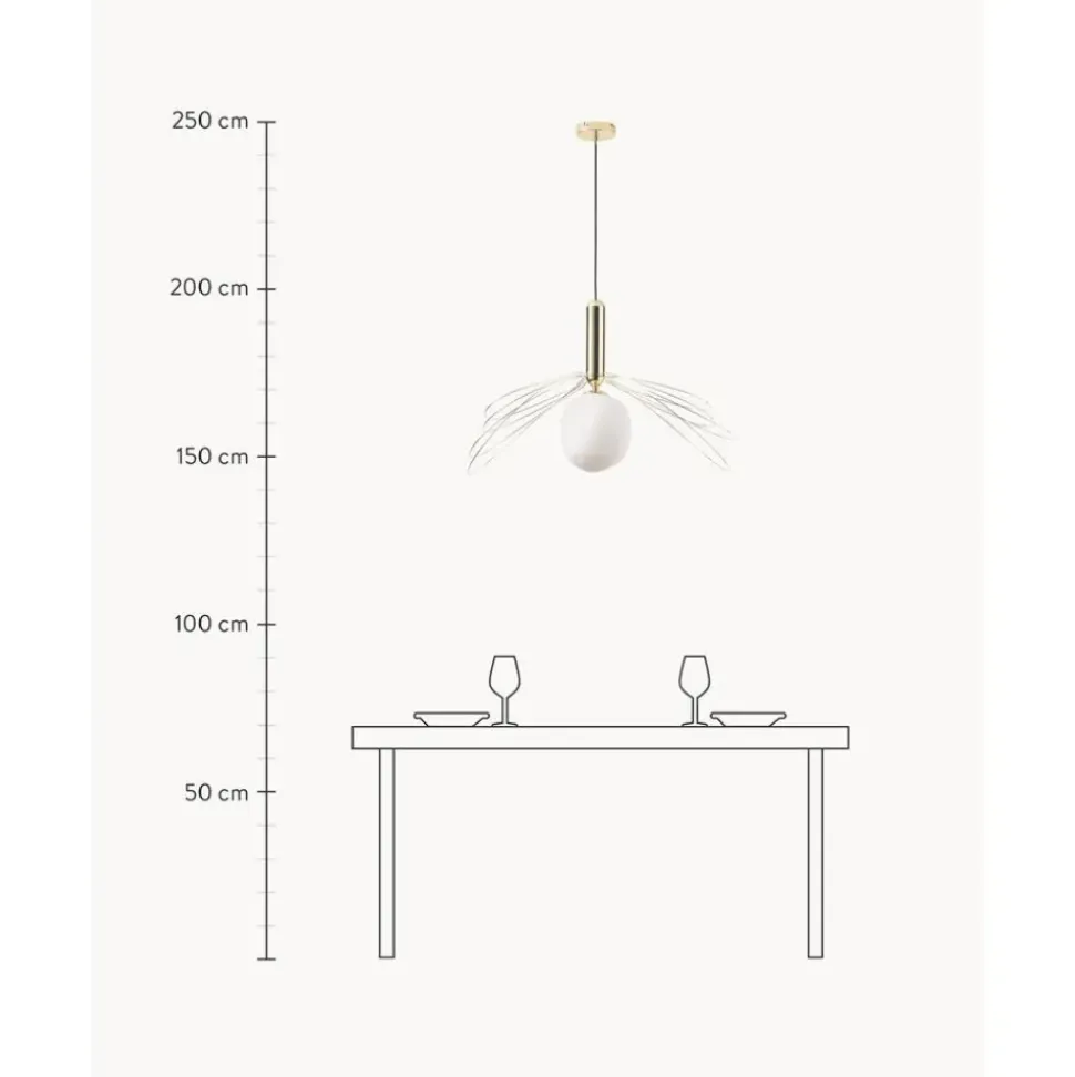 Lampara De Techo Grande Dela