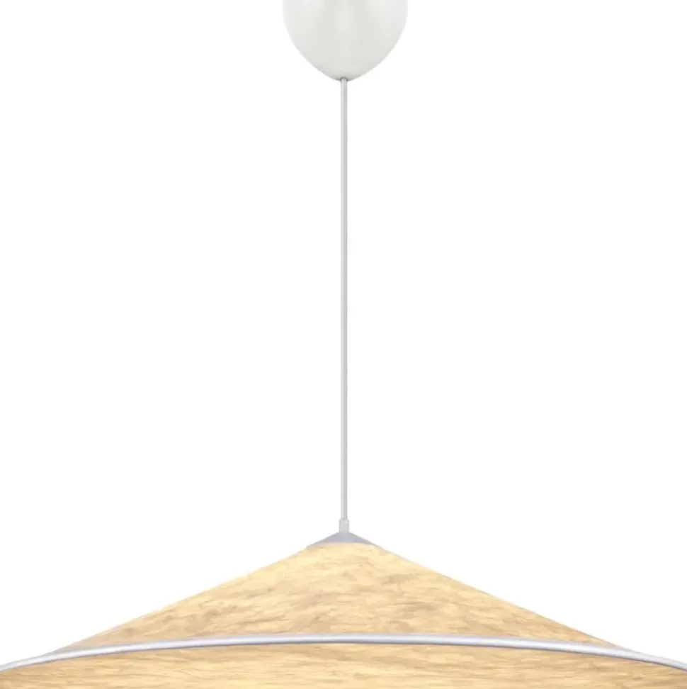 Lampara De Techo Grande Hill