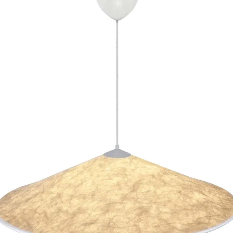 Lampara De Techo Grande Hill