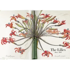 Libro Ilustrado Book Of Flowers