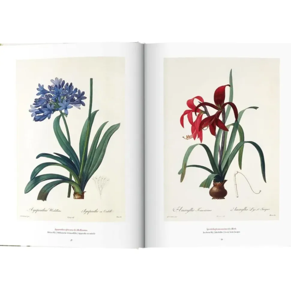 Libro Ilustrado Book Of Flowers
