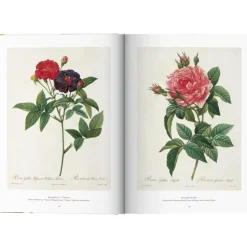 Libro Ilustrado Book Of Flowers