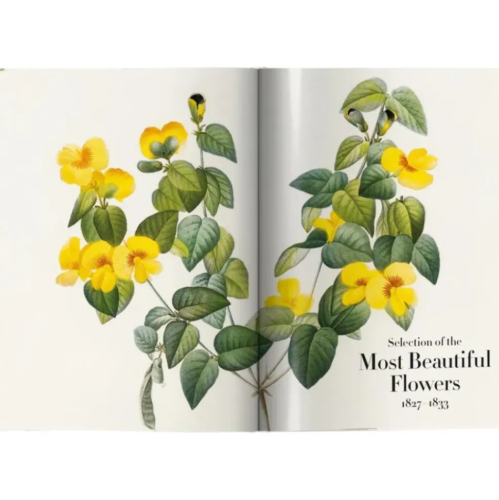 Libro Ilustrado Book Of Flowers