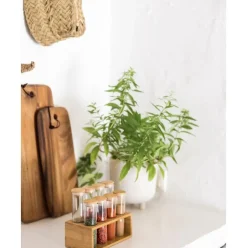 Macetero De Ceramica Ivory