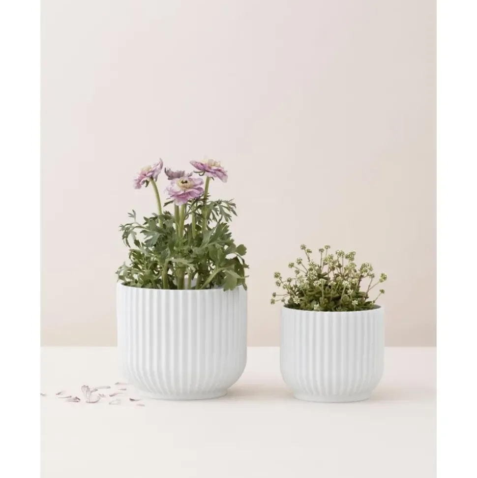 Macetero De Porcelana Lyngby, 11 Cm