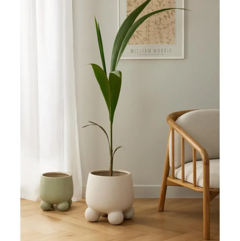 Macetero Grande De Dolomita Olea