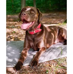 Manta Acolchada Para Mascotas Oxford, Tamanos Diferentes