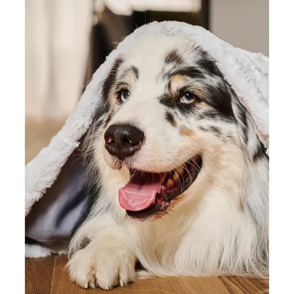 Manta Acolchada Para Mascotas Cozy, Tamanos Diferentes